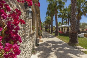 A stone building with a narrow pathway lined with palm trees and bougainvillea flowers. - Villa Dei Papiri (Syracuse)