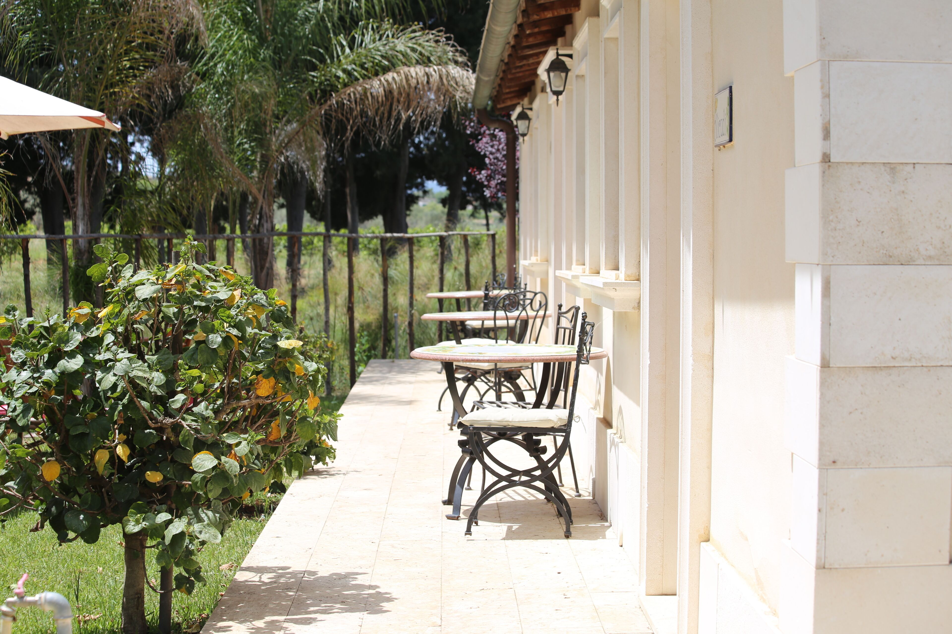 Un espace extérieur aménagé, abrité et doté de tables et de chaises, un petit jardin avec un arbre et des arbustes, et un bâtiment à l’extérieur recouvert de carreaux.