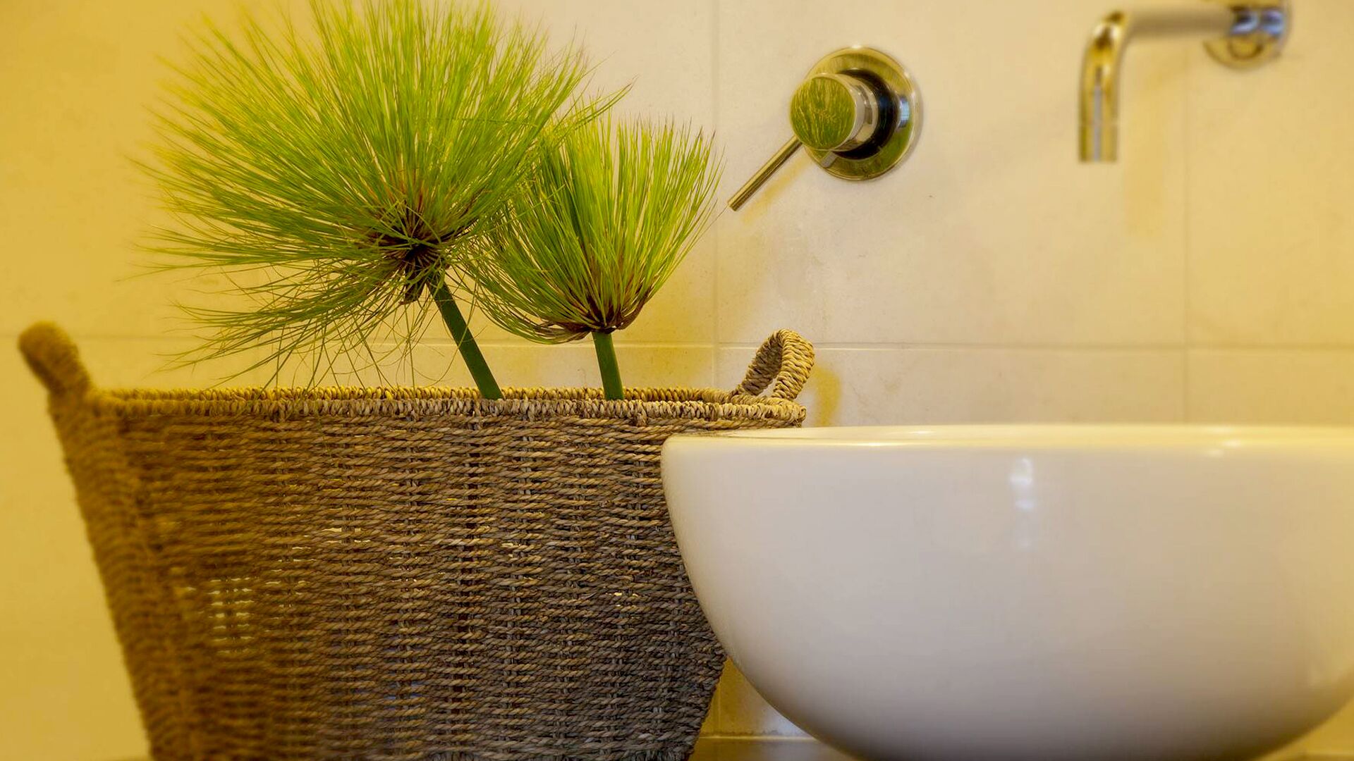 Photo - Villa Dei Papiri Fonte Ciane