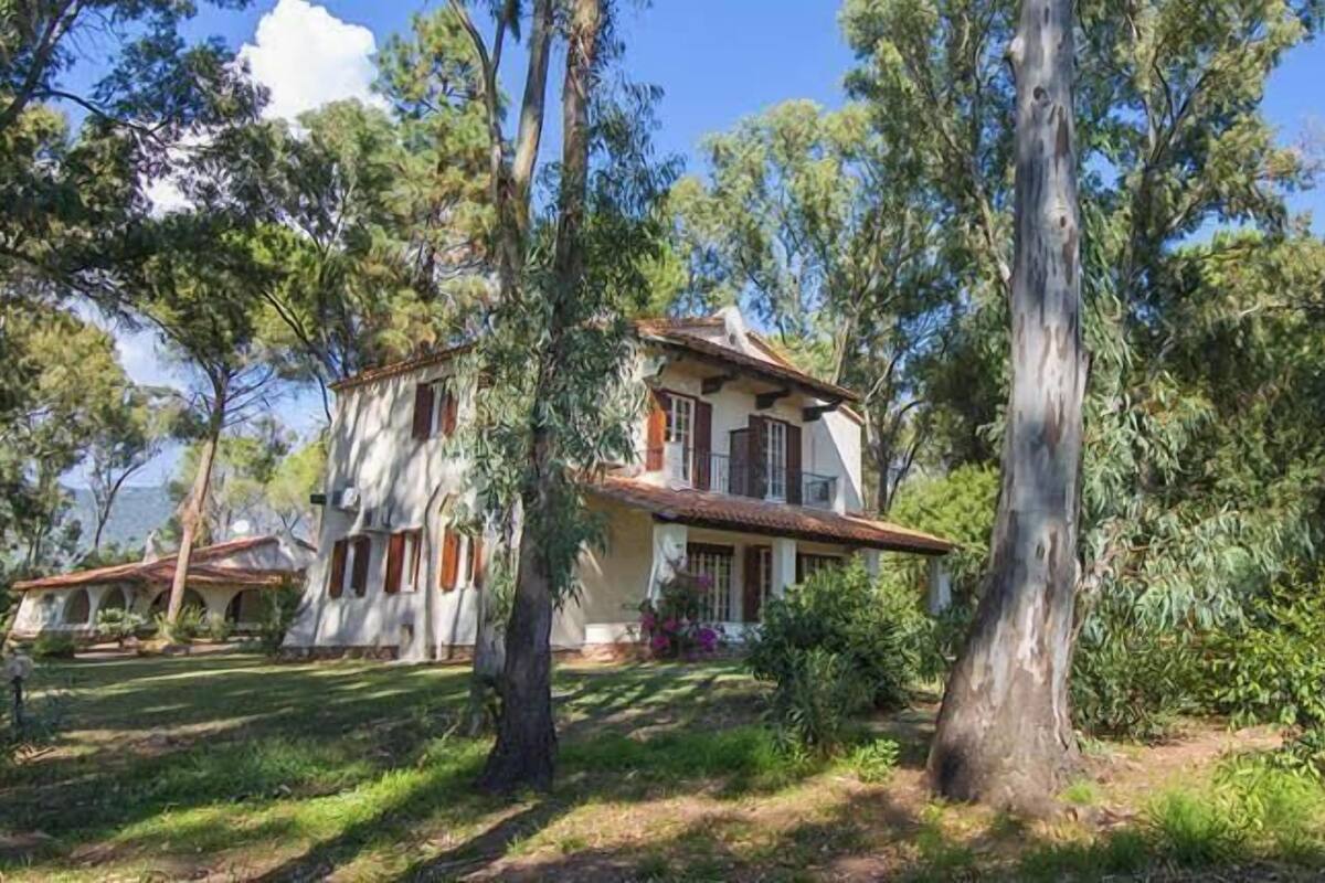 Una casa de dos pisos con techo de tejas, rodeada de árboles y un patio cubierto de césped.