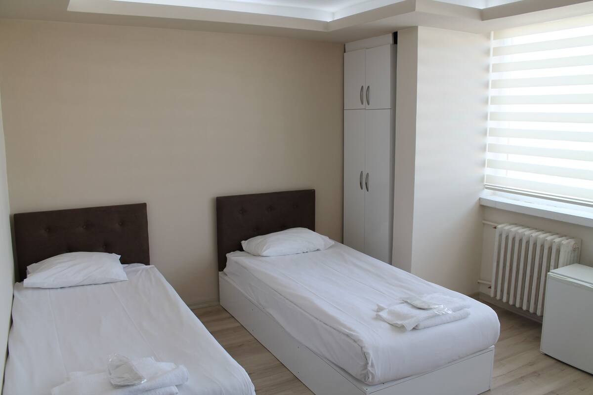 Minibar, desk, WiFi (free)
