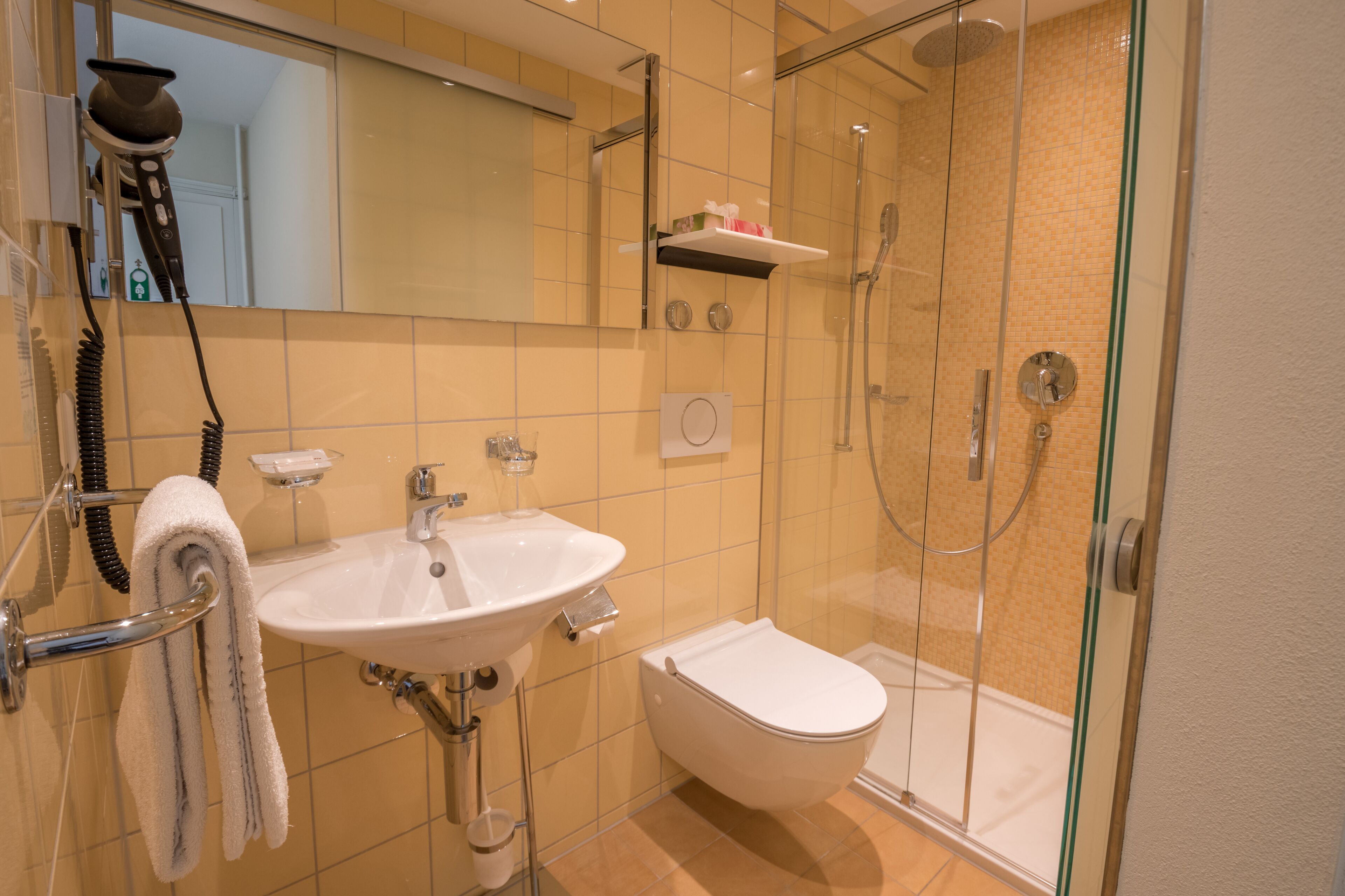 A modern bathroom with a glass-enclosed shower, a white sink, and a toilet.