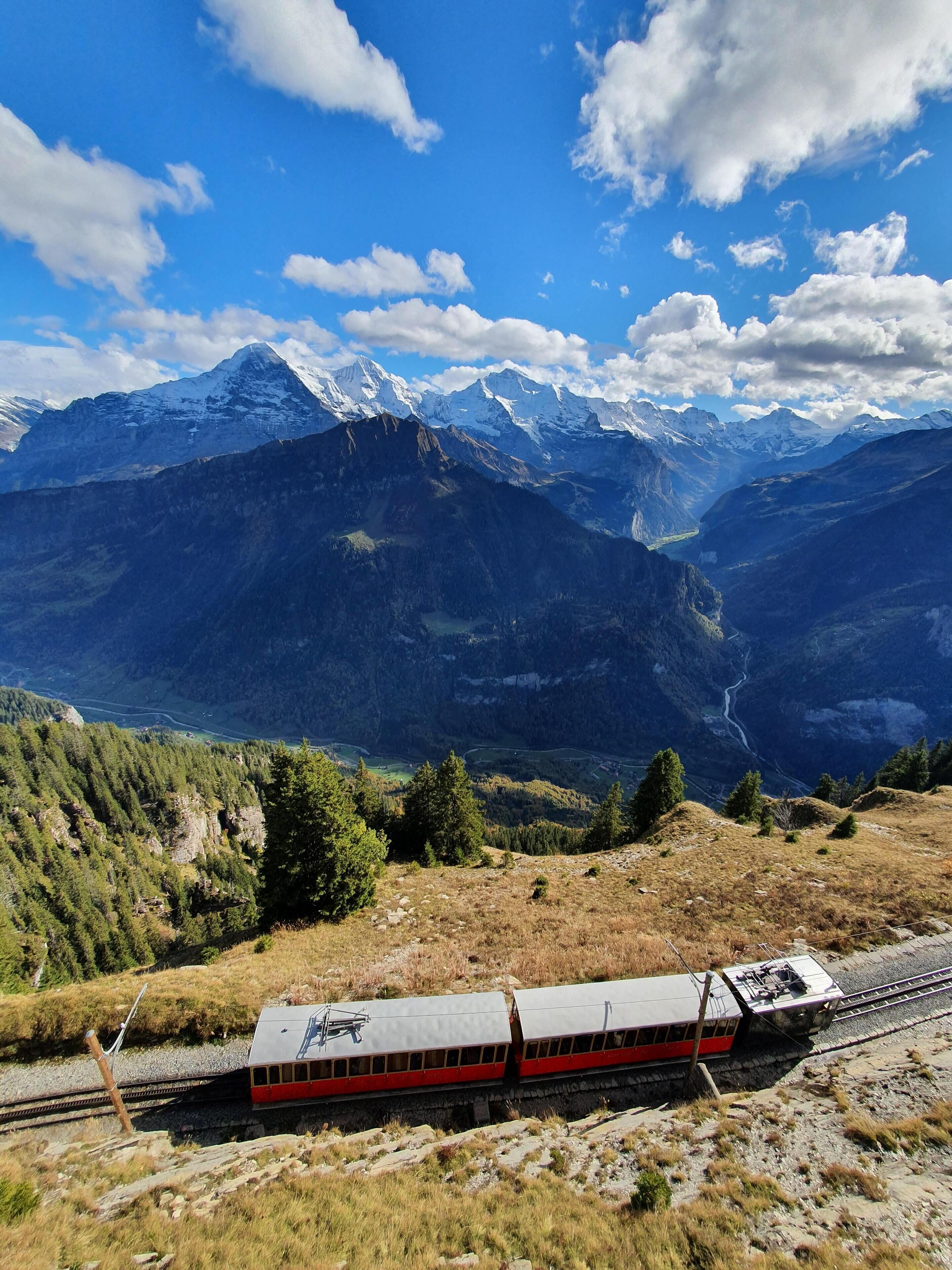 Foto - Hotel Berghof Amaranth