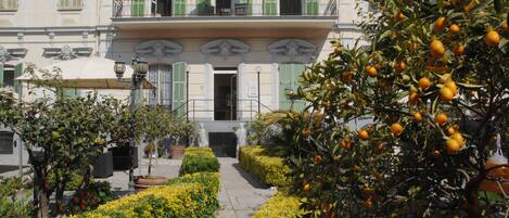 Un patio con un edificio con contraventanas verdes, un balcón con mesa y sillas, y un árbol con frutos anaranjados.