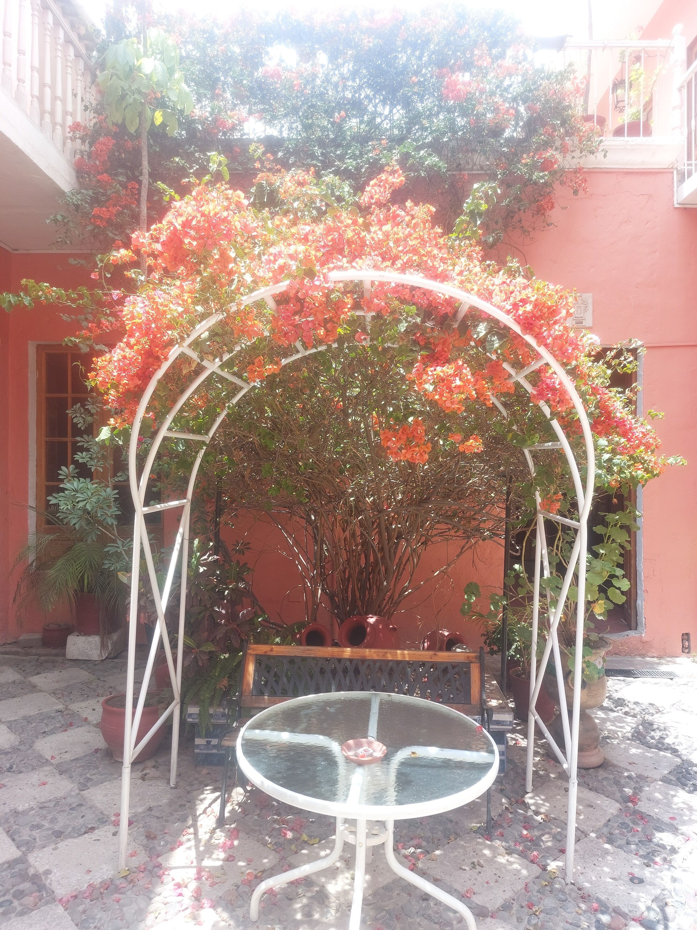 Foto - Posada Nueva España
