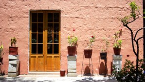 A building with a large wooden door and multiple potted plants arranged outside. - Posada Nueva España (Arequipa)