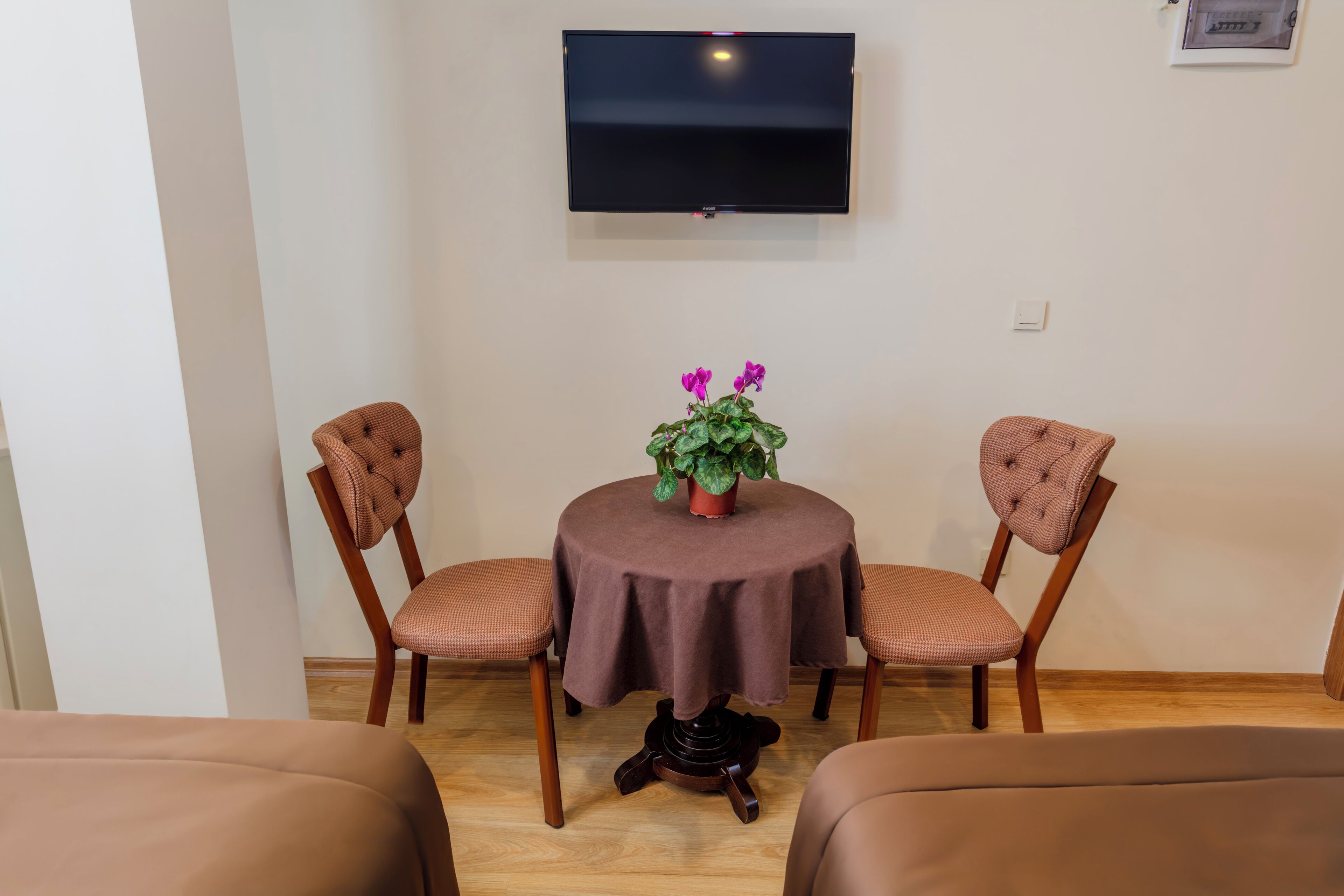 Une pièce comprenant une table ronde, deux chaises, une plante en pot, un téléviseur fixé au mur et un lit.