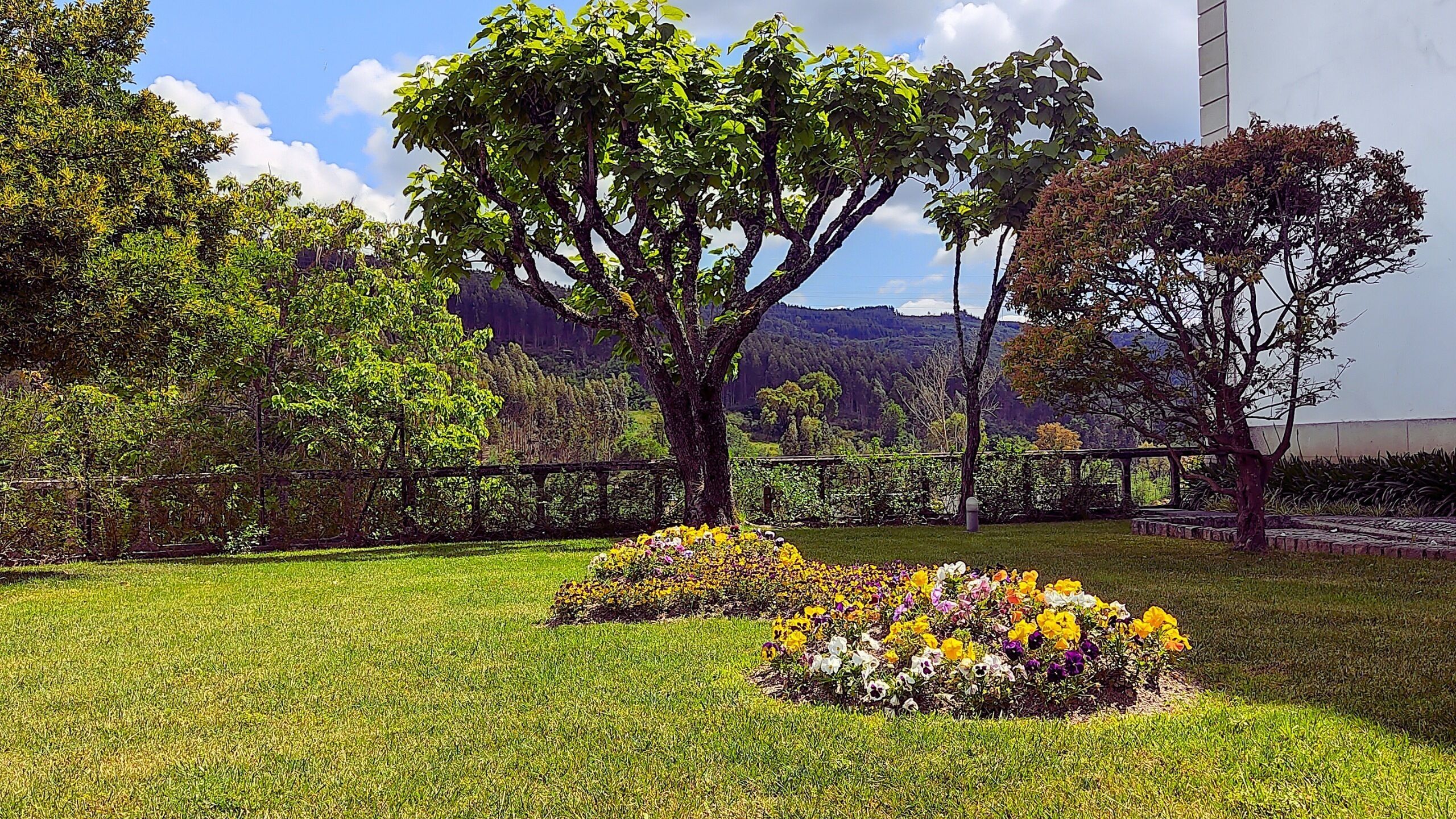 A park with a large tree, flower beds, and a fence.