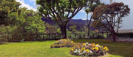 Un parc avec un grand arbre, des parterres de fleurs et une clôture.