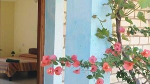 A room with a bed, a window, and a wall with a plant.