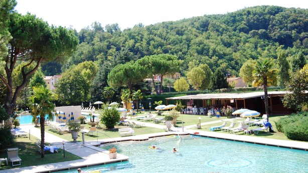 A pool area with lounge chairs and umbrellas, surrounded by greenery and a hillside in the background. - Hotel Terme Imperial (Montegrotto Terme)