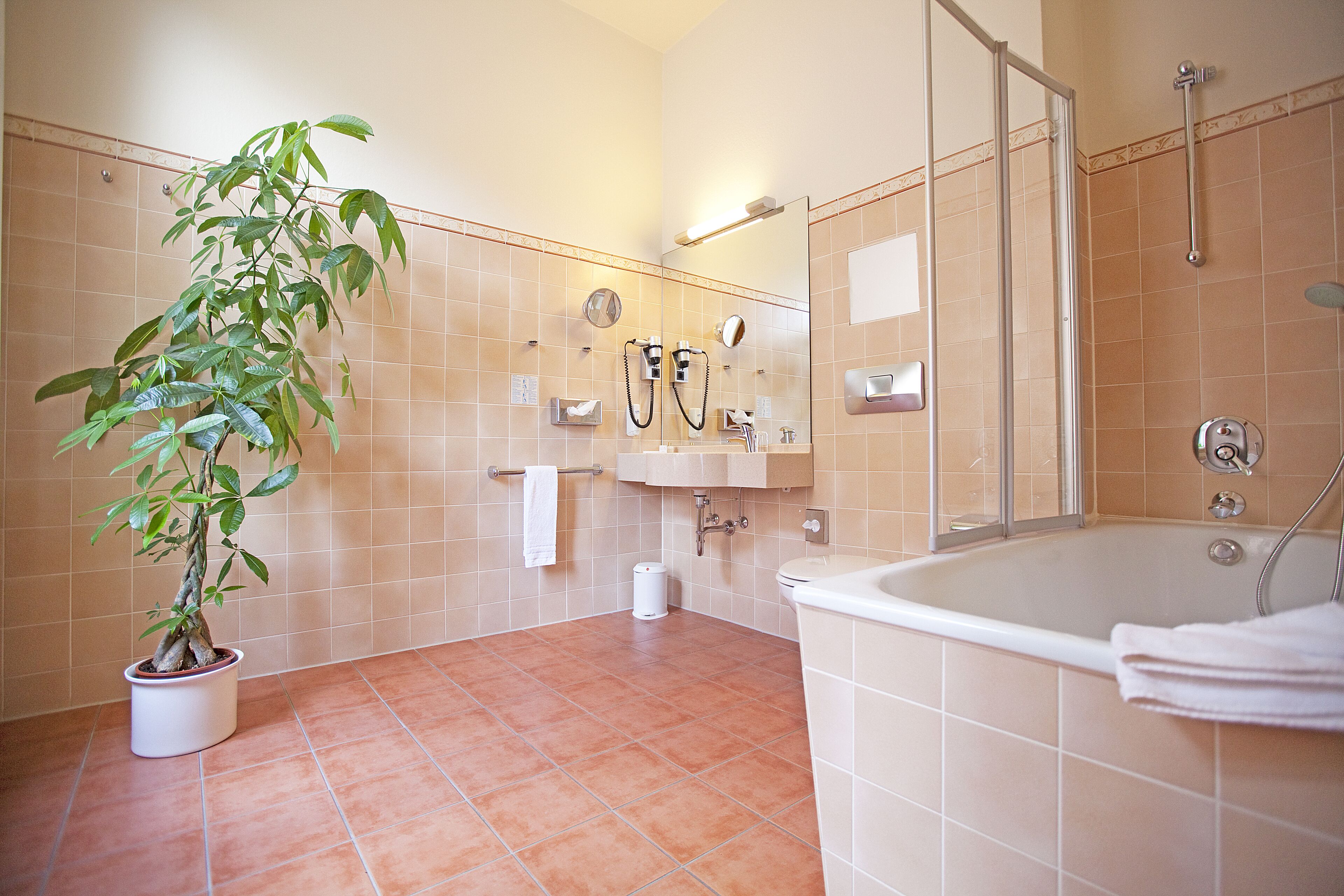 free toiletries, hair dryer, towels