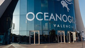 Un bâtiment moderne sur lequel on peut lire en grand le nom « OCEANO GRAN VALENCIA ».