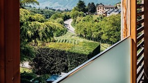 A view from a balcony overlooking a vineyard and mountains. - Villa Madruzzo (Trento)
