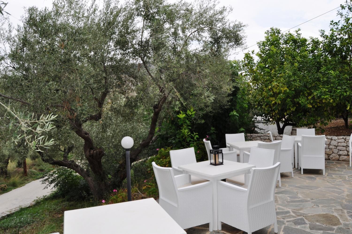 An outdoor seating area with white wicker furniture and stone flooring, surrounded by olive trees and greenery.