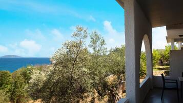 Ein Balkon mit Blick auf das Meer und Olivenbäume.