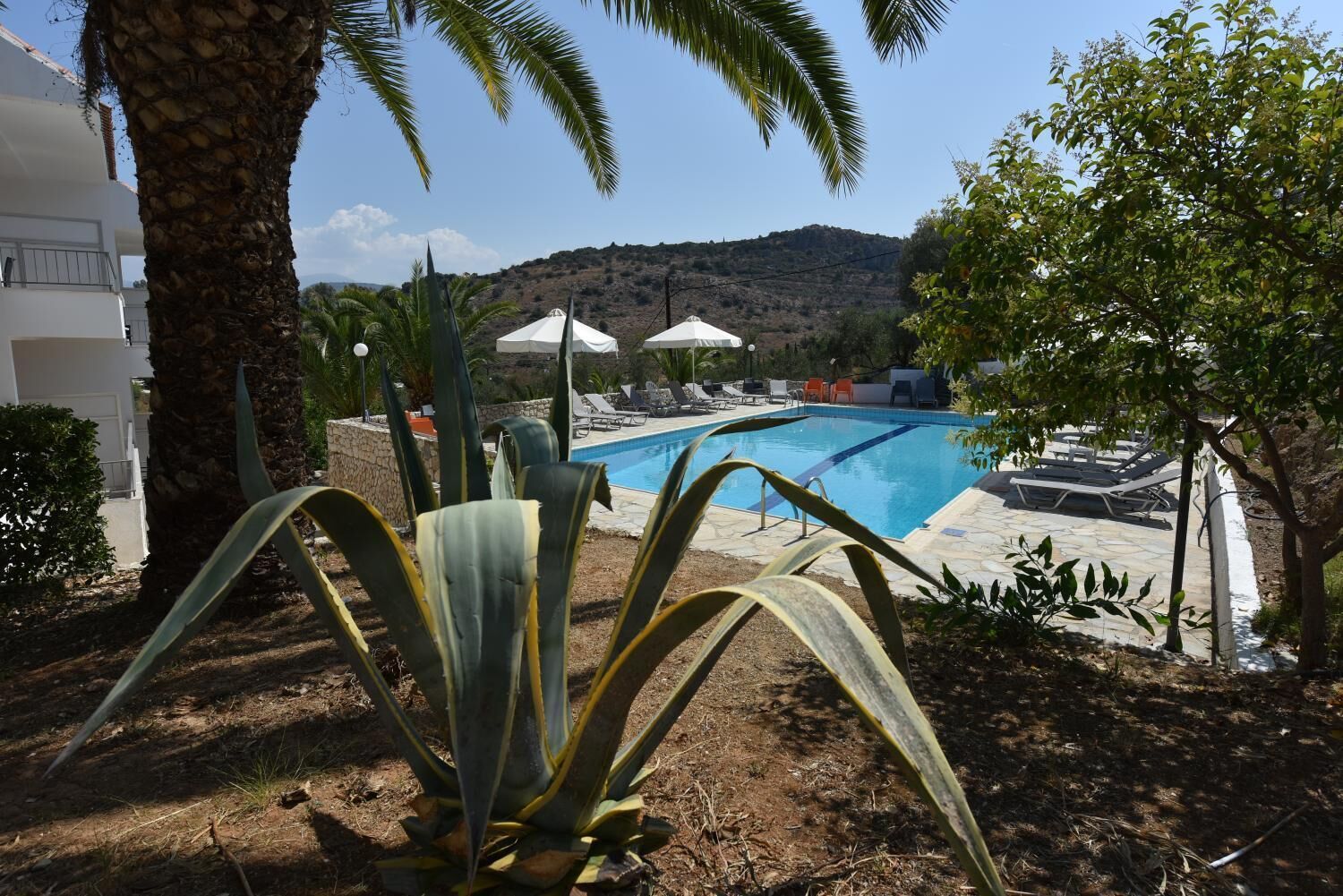Un espace piscine agrémenté de chaises longues et de parasols, entouré de plantes tropicales et d’un mur de pierre.