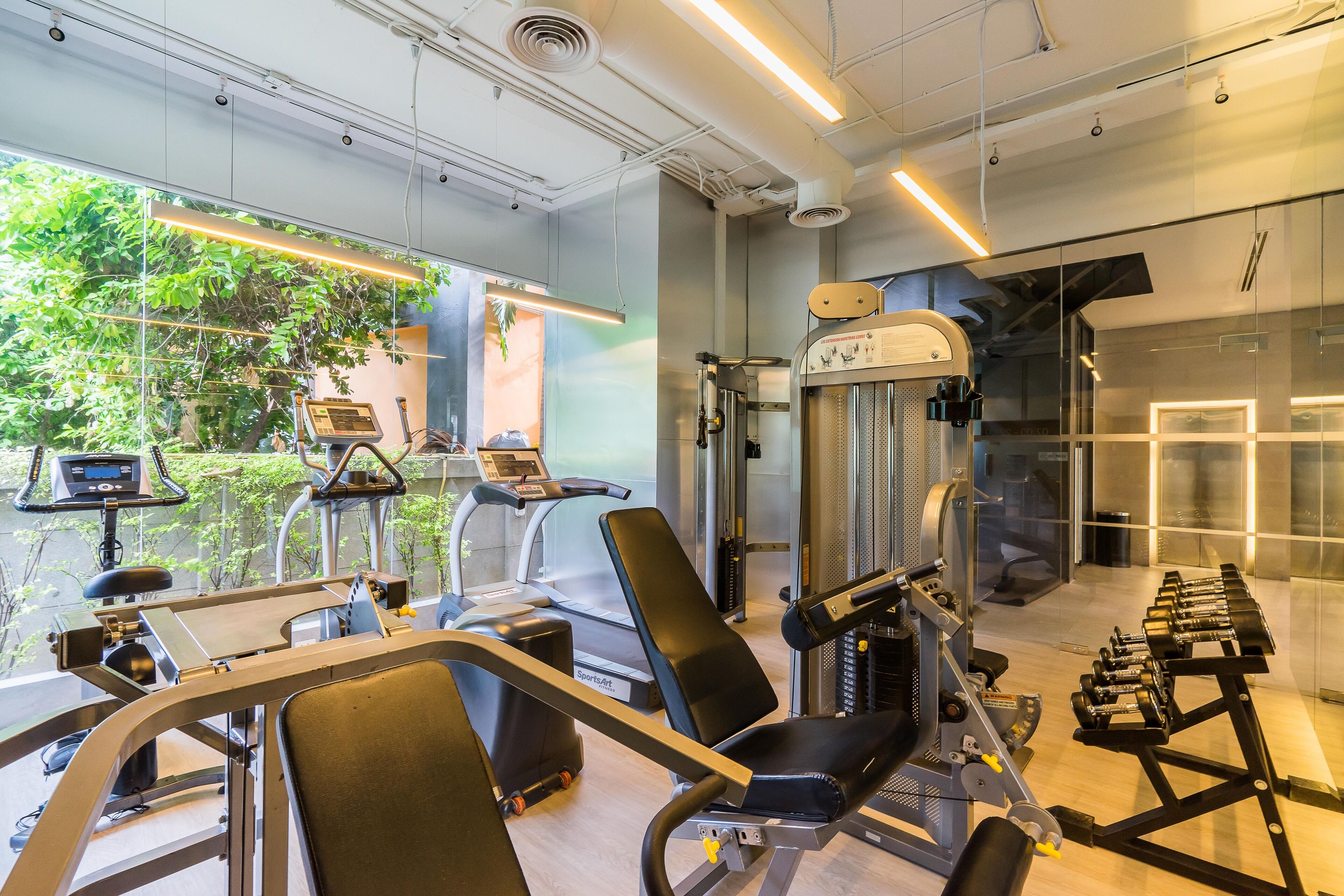 A modern gym with cardio machines, weightlifting equipment, and a large window with a view of greenery.