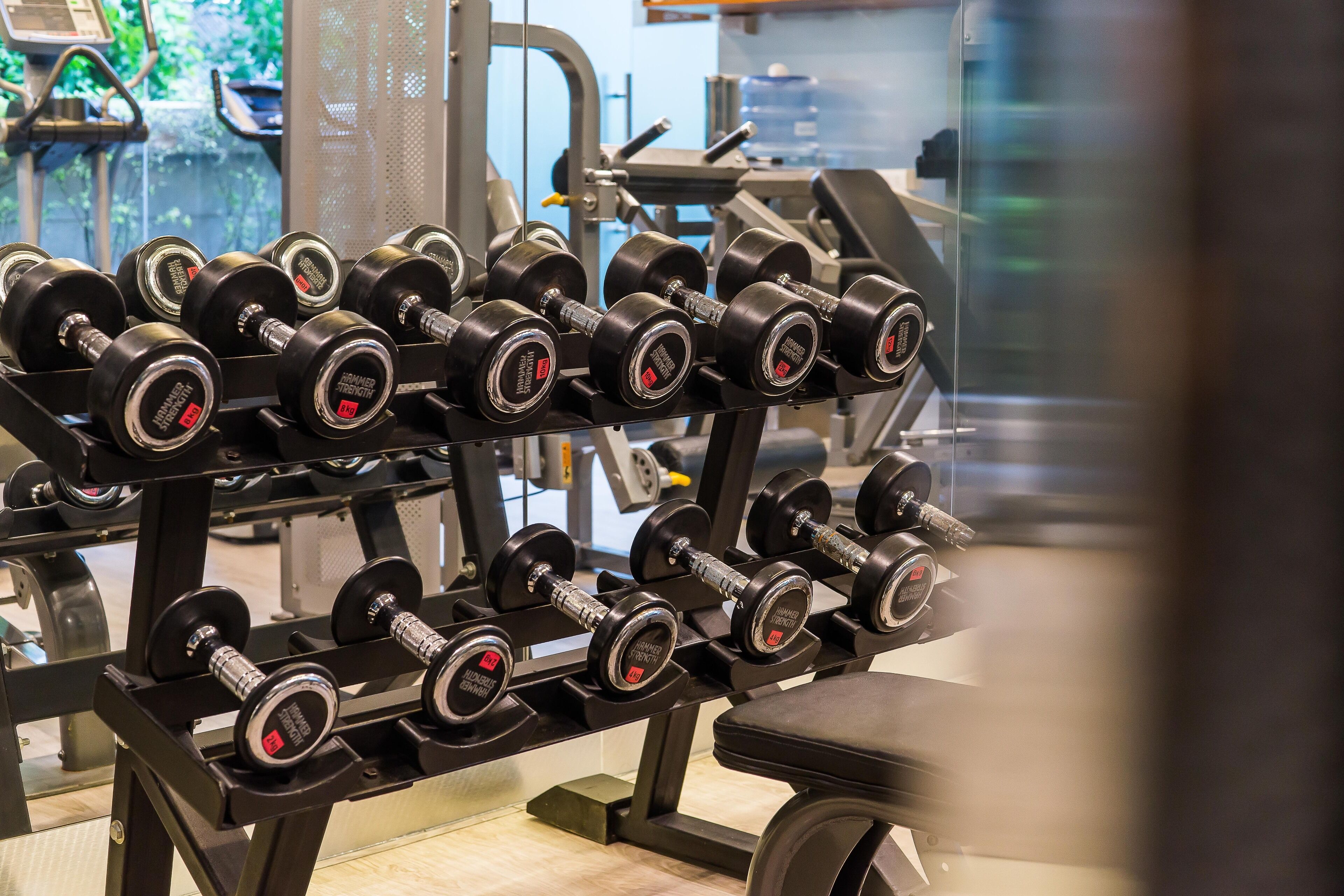 A rack of dumbbells in a gym.