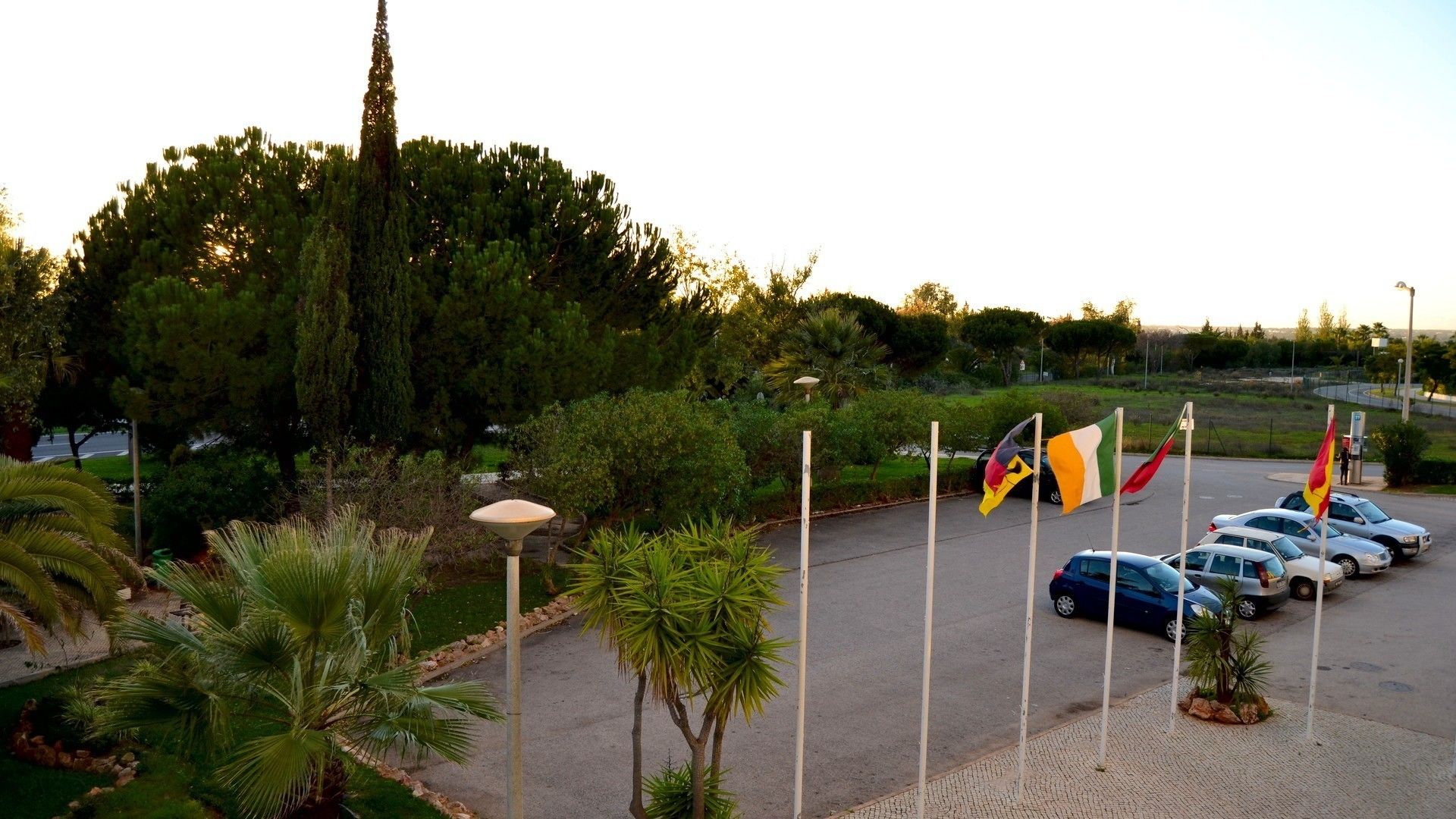 Foto - Parque das Amendoeiras