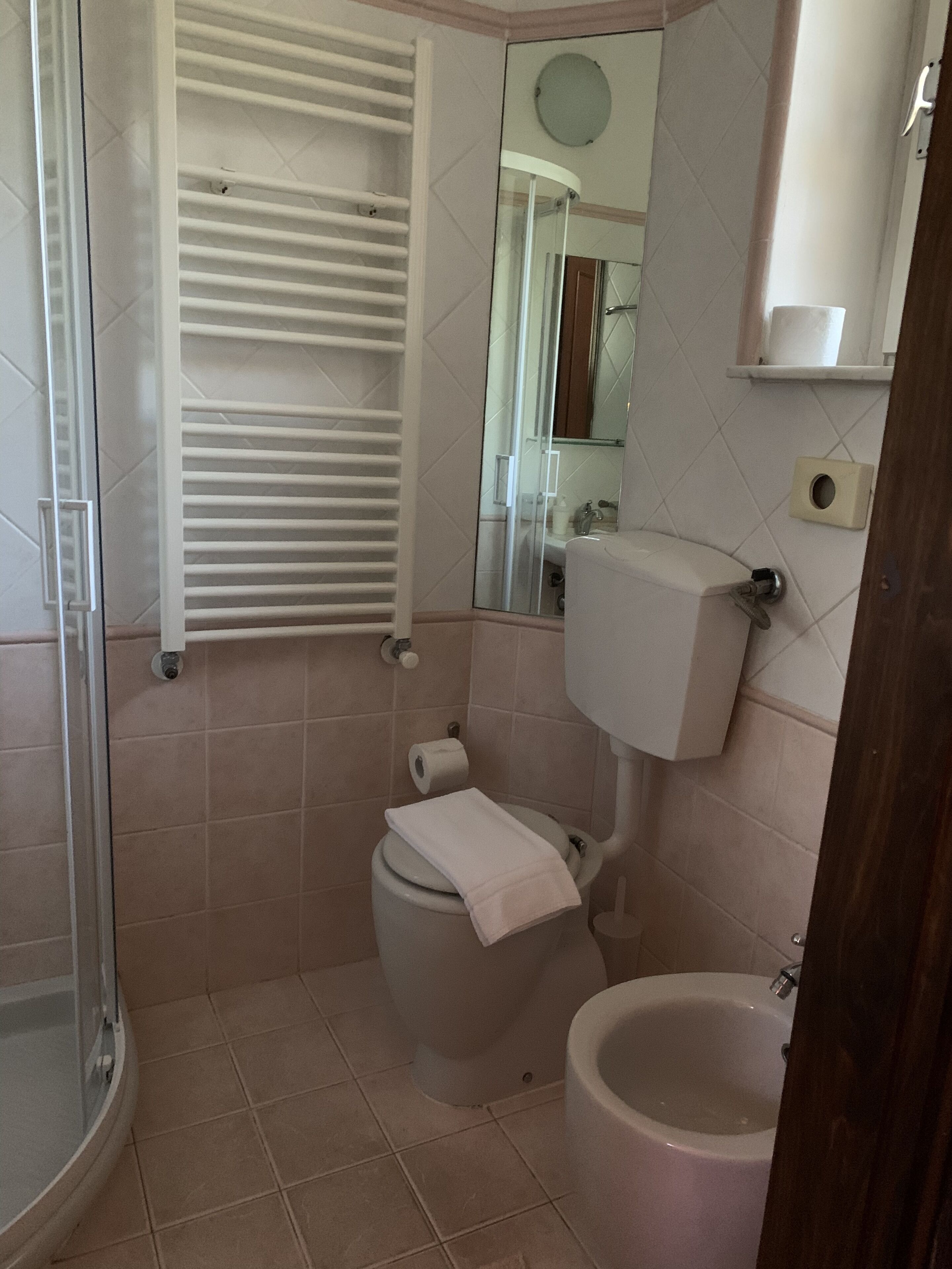 A bathroom with a toilet, bidet, and a glass shower enclosure.