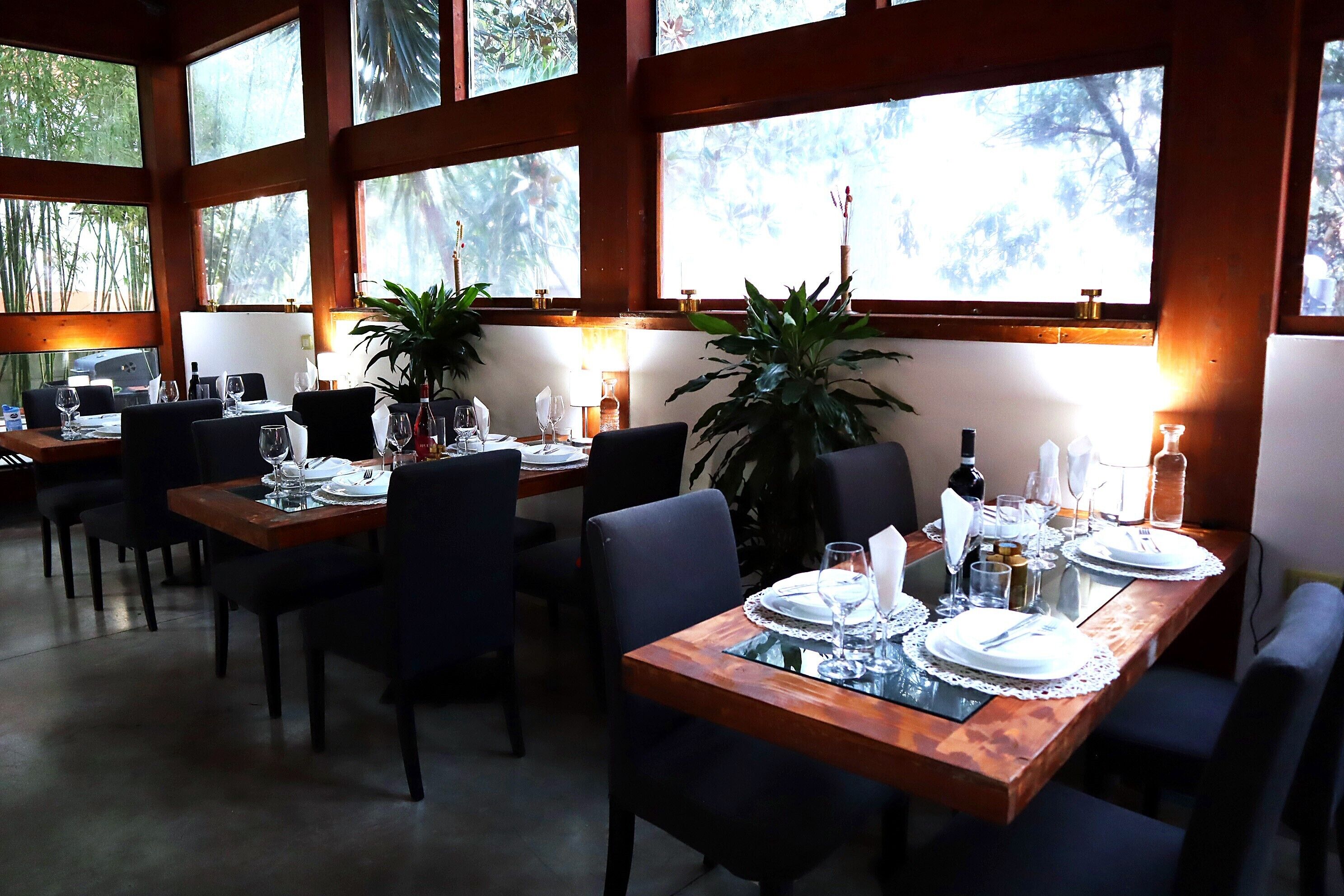 A restaurant with multiple tables set for dining, large windows with a view of trees, and potted plants on the windowsills.