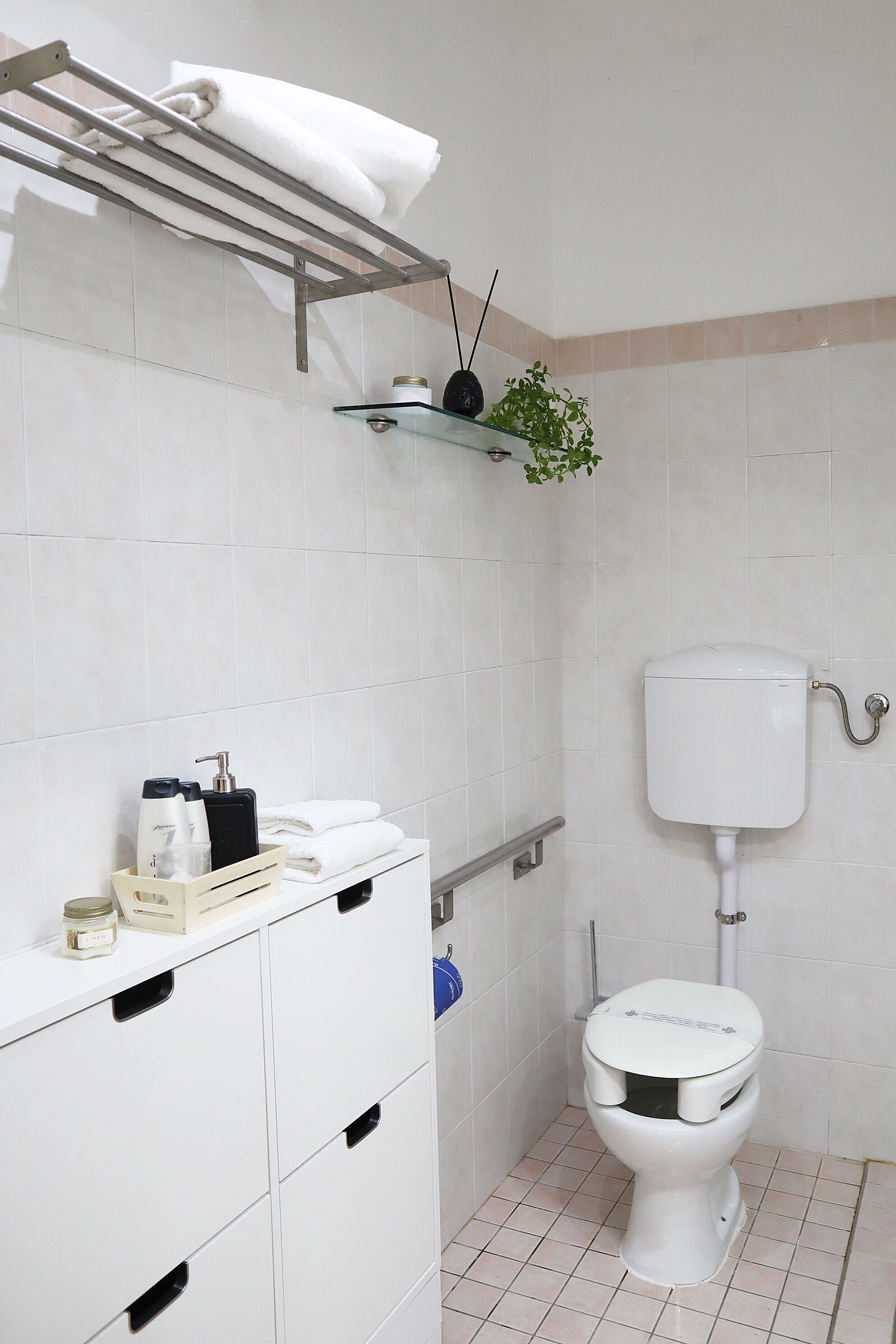 Un bany amb vàter, un penjador de tovalloles, una prestatgeria amb productes de tocador i una planta.