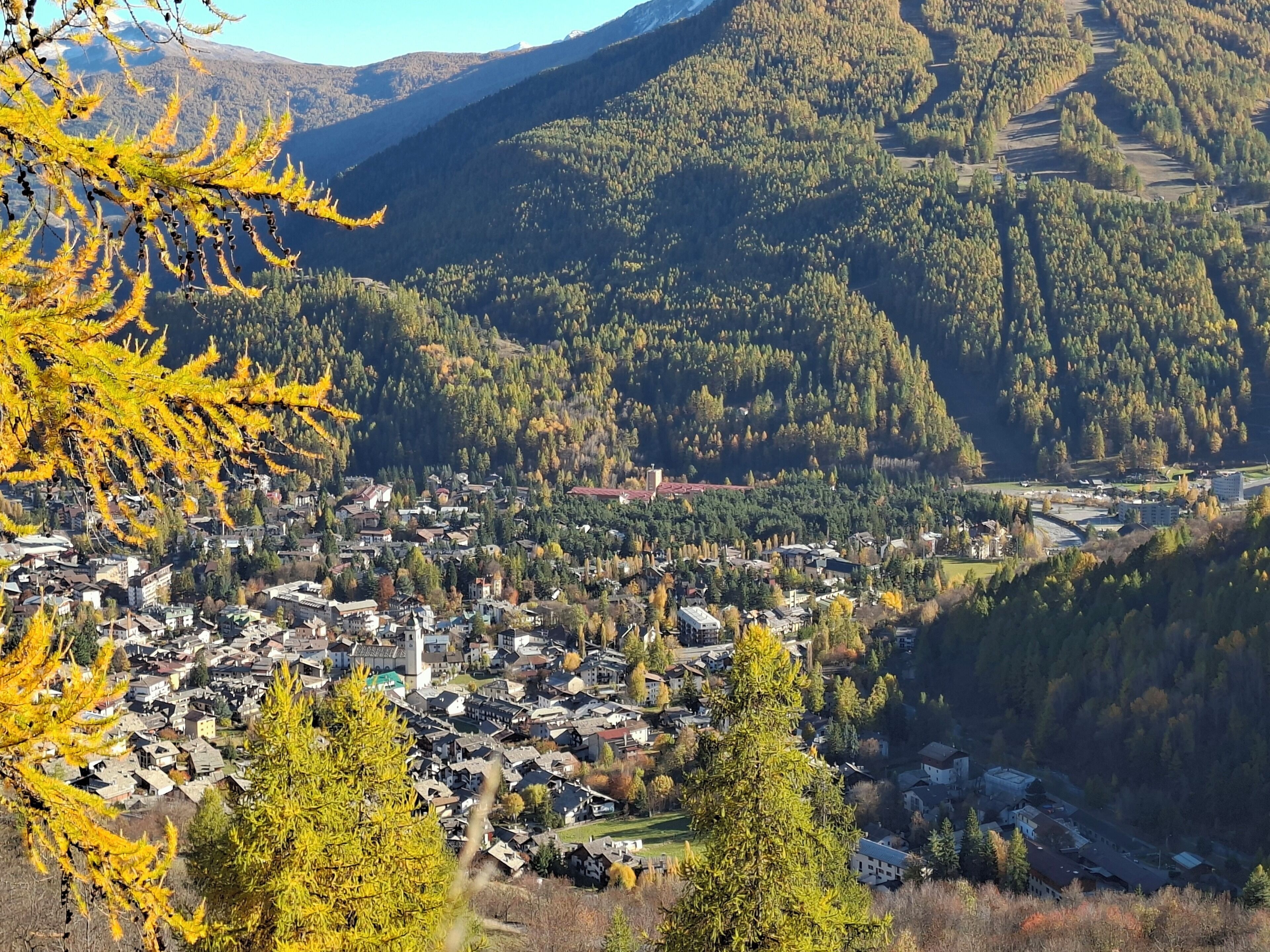 A town nestled in a valley with a prominent church and dense forested hills in the background.