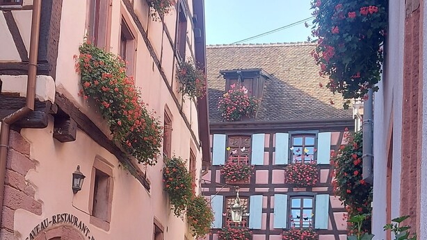 A cobblestone street with traditional half-timbered buildings, a visible restaurant sign, and lush greenery. - Hotel Restaurant Saint Nicolas (Riquewihr)