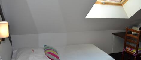 A small, single-bed room with a skylight, a desk, and a chair.