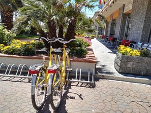 Property amenity - Trasimeno (Castiglione del Lago)