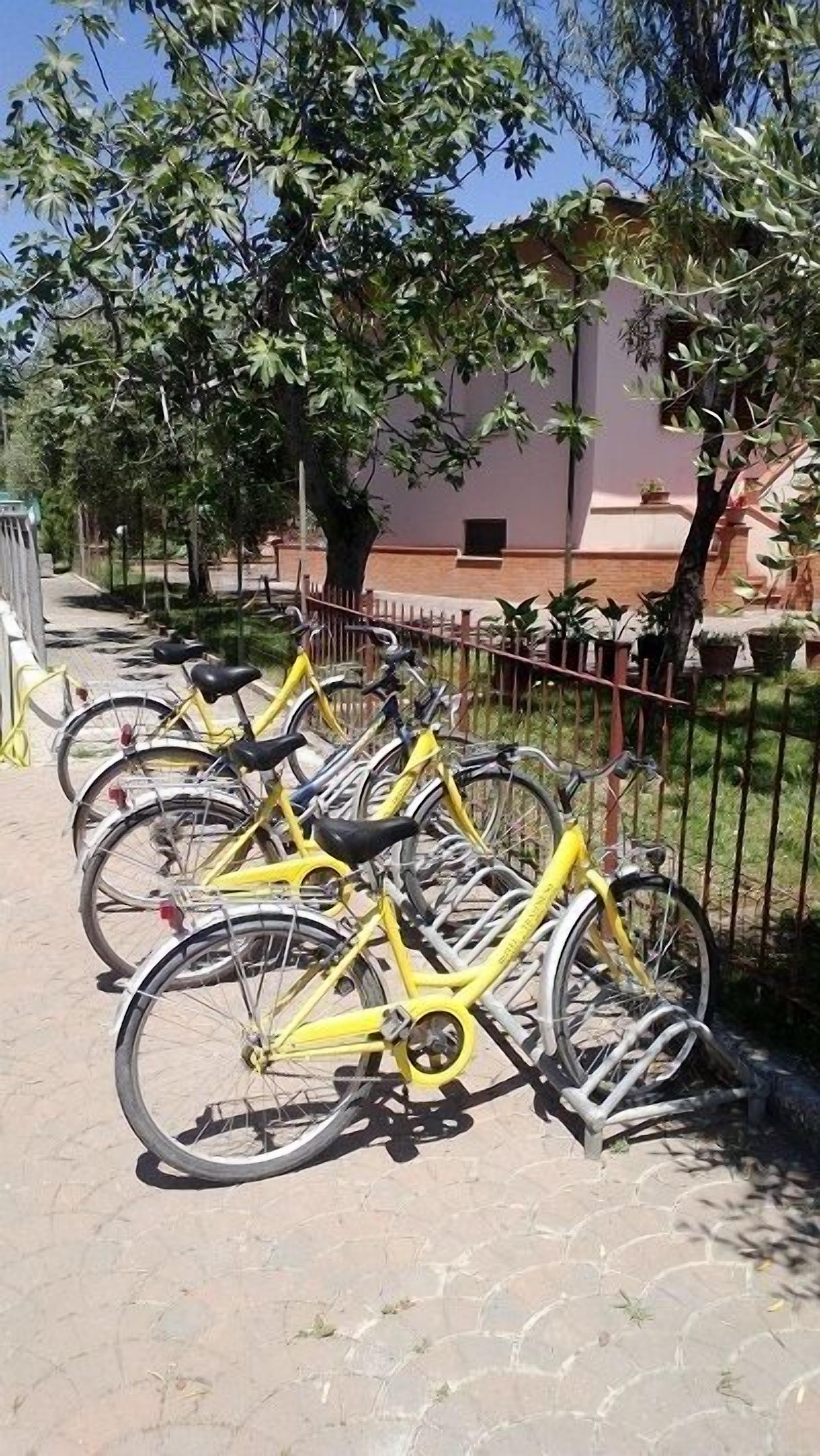 Una fila de bicicletas amarillas estacionadas en un sendero pavimentado, con un edificio y árboles al fondo.