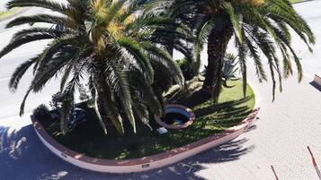Zona ajardinada con palmeras, una jardinera circular y un camino pavimentado.