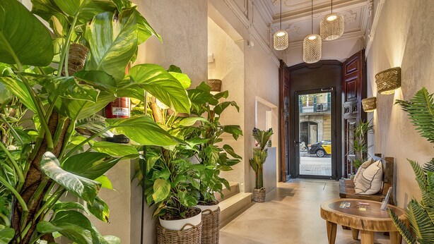 Un pasillo con plantas verdes grandes, cestas de mimbre, una mesa de madera con cojín y una puerta que da a un balcón.