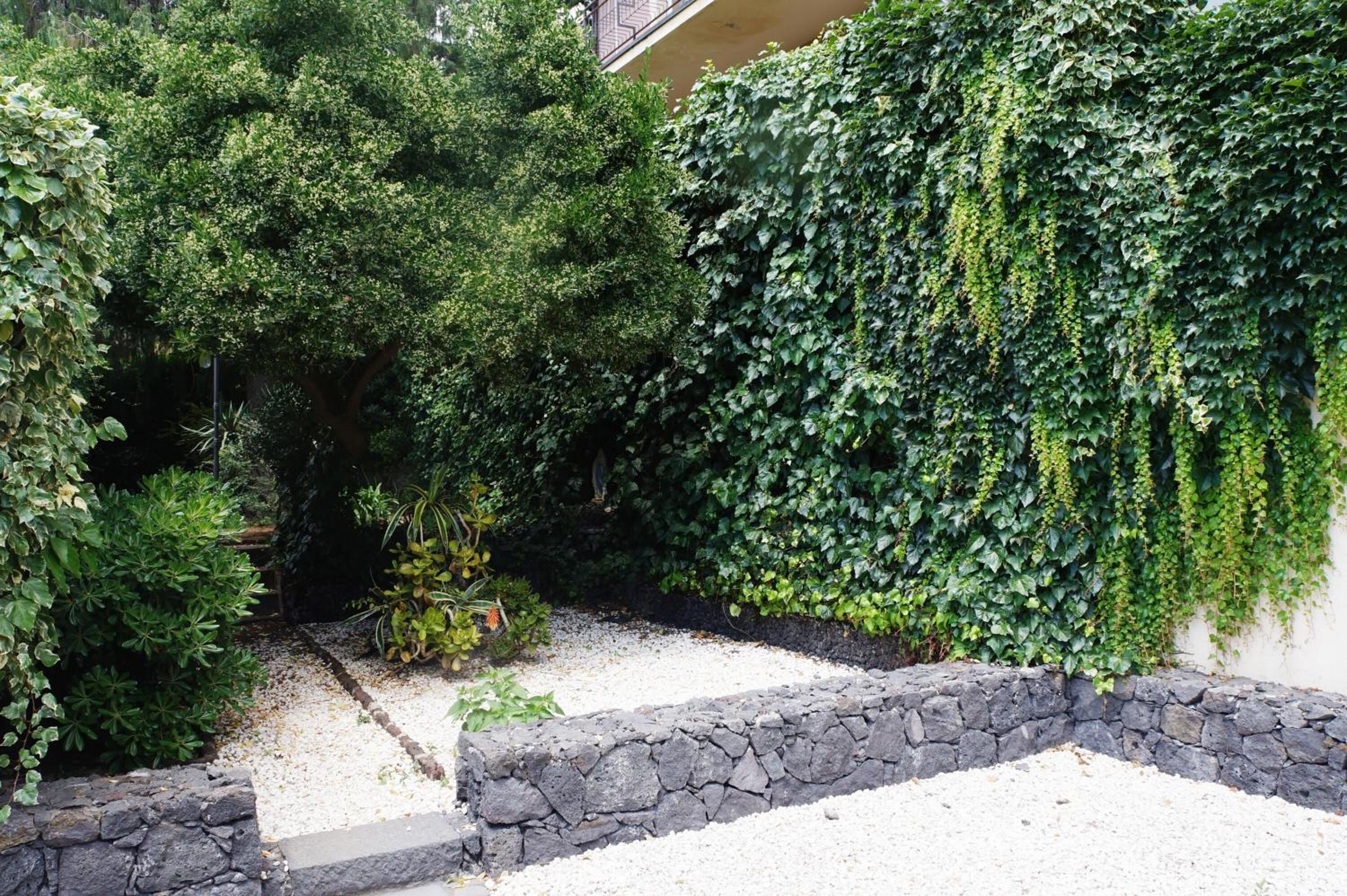 A garden with various plants and a stone wall.