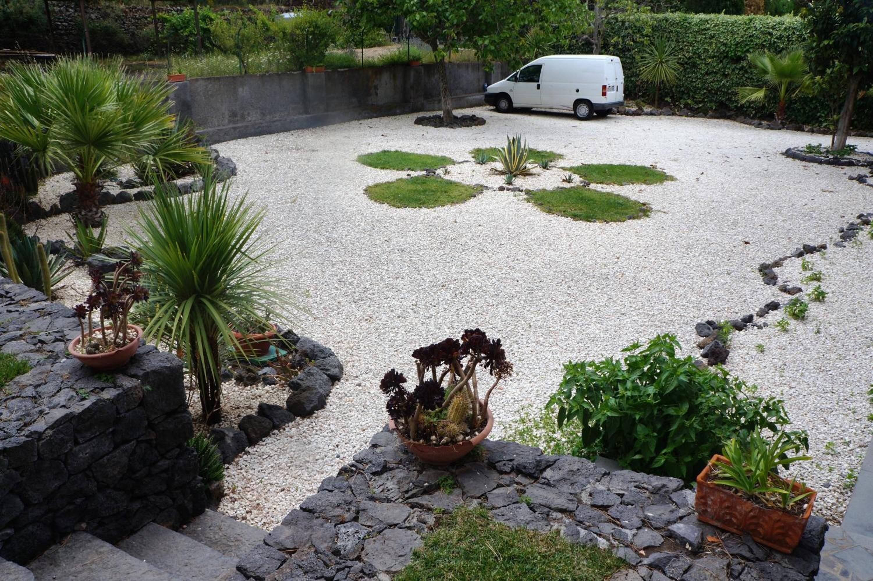 A garden with various plants and a white van parked nearby.