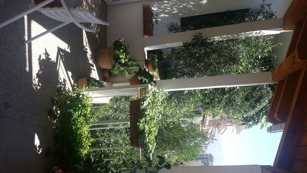 A balcony with potted plants and flowers, a white railing, and a view of buildings in the background. - Villa Angela (Split)