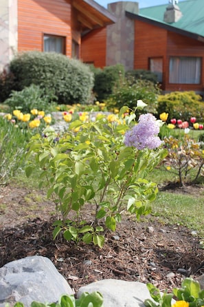 Jardines del alojamiento