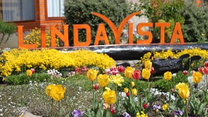 Une enseigne avec le mot « LINDAISTA » écrit en lettres orange, entourée d’un jardin où poussent différentes sortes de fleurs, et un bâtiment avec des fenêtres en arrière-plan.