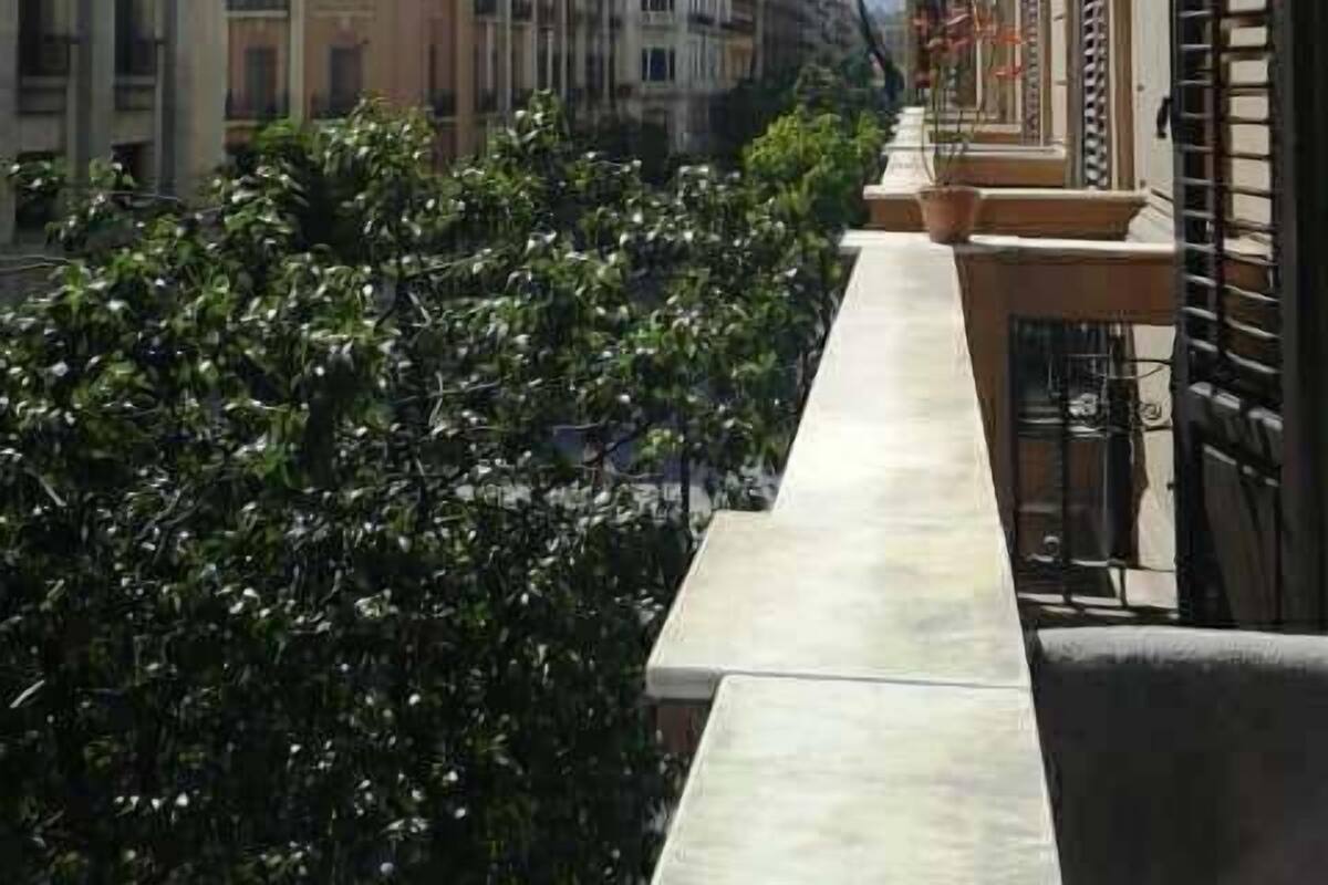 A narrow street with buildings on both sides, a concrete pathway, and dense greenery.