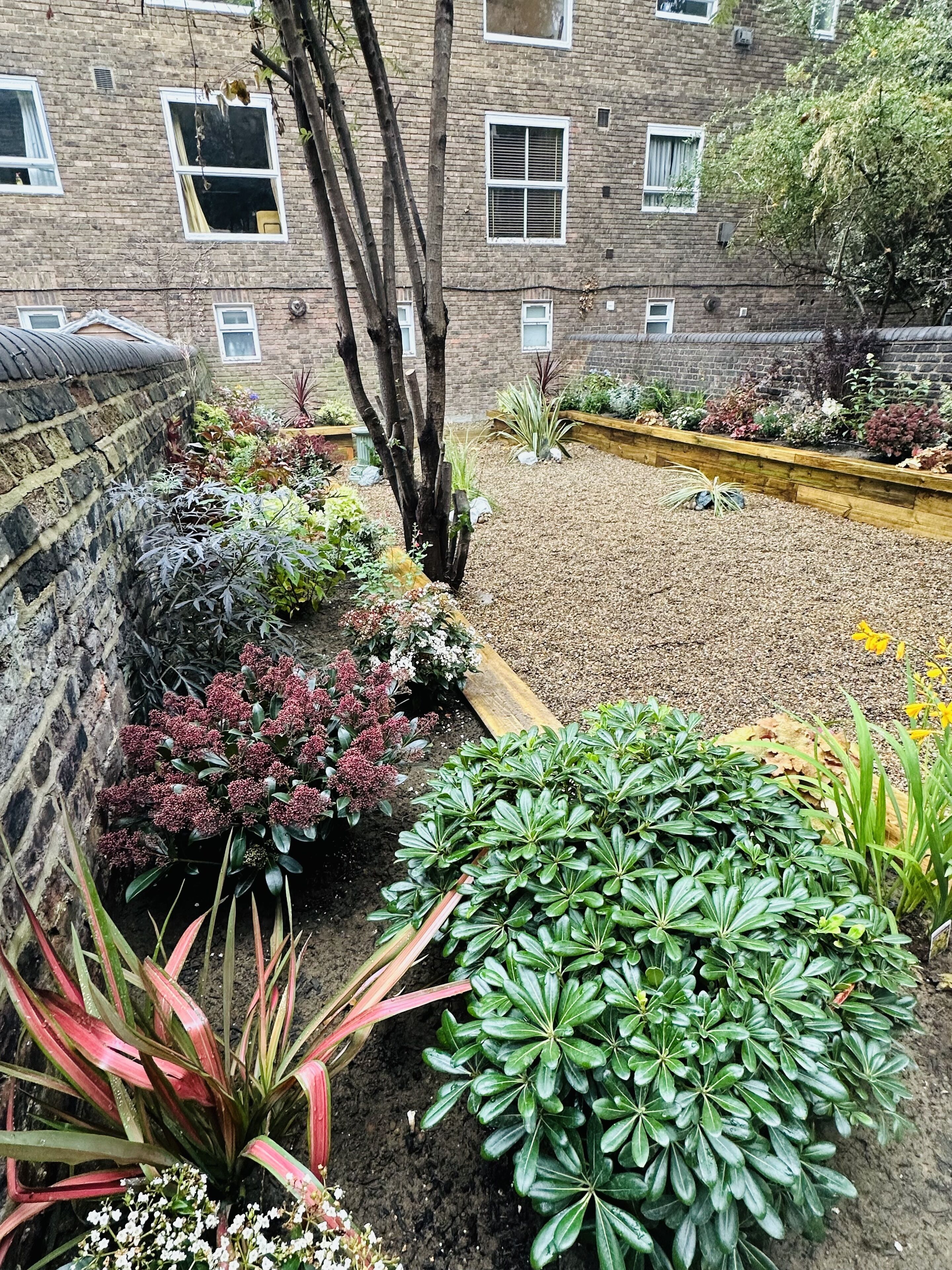 Foto - Bloomsbury Palace Hotel