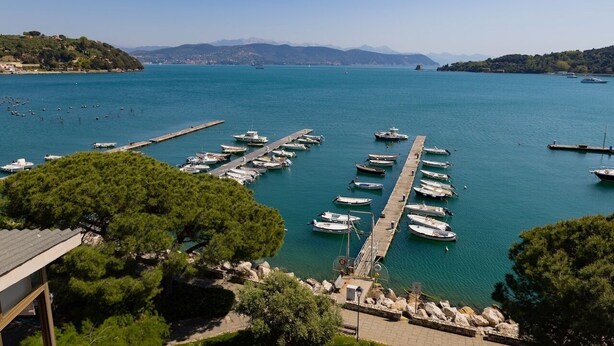 A marina with boats docked, surrounded by greenery and hills in the background. - Hotel Paradiso (Portovenere)