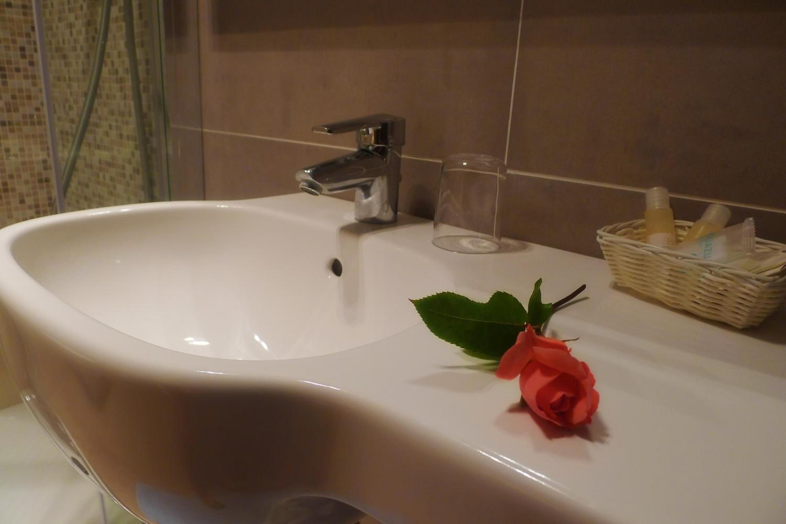 free toiletries, hair dryer, bidet, towels