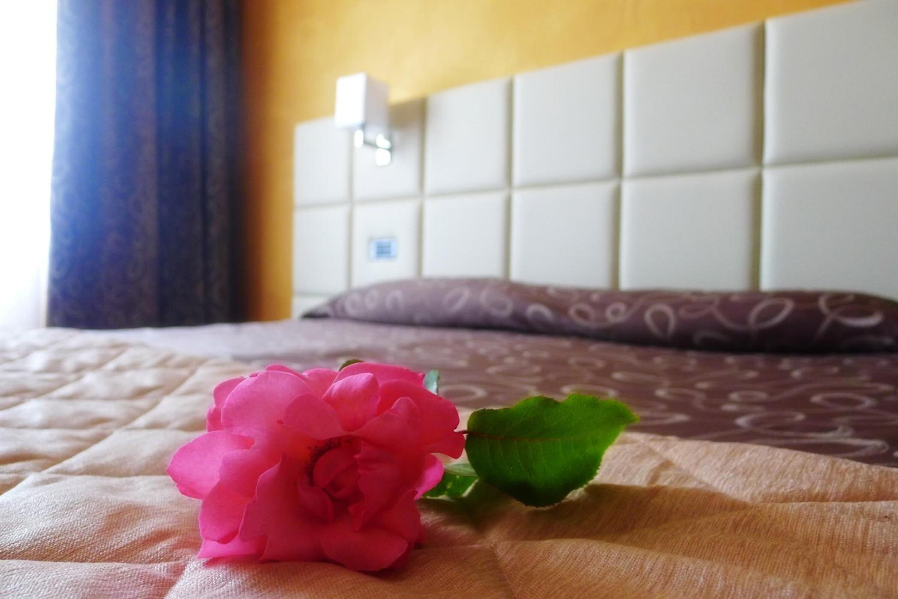 minibar, in-room safe, desk, blackout curtains