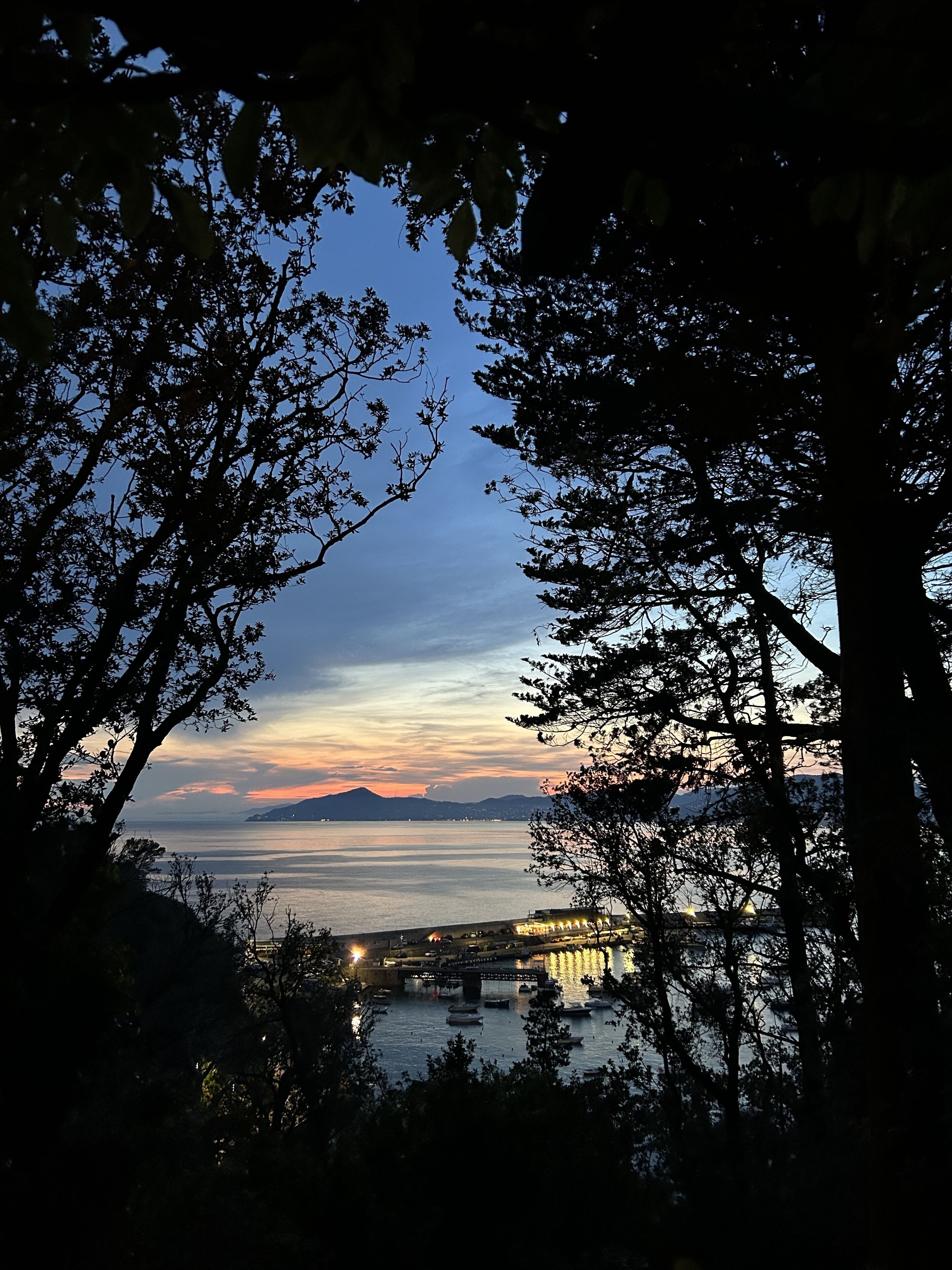 Une vue sur le coucher de soleil, avec un pont et des bateaux au premier plan, le tout encadré par des arbres.
