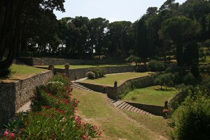 Vista desde la propiedad