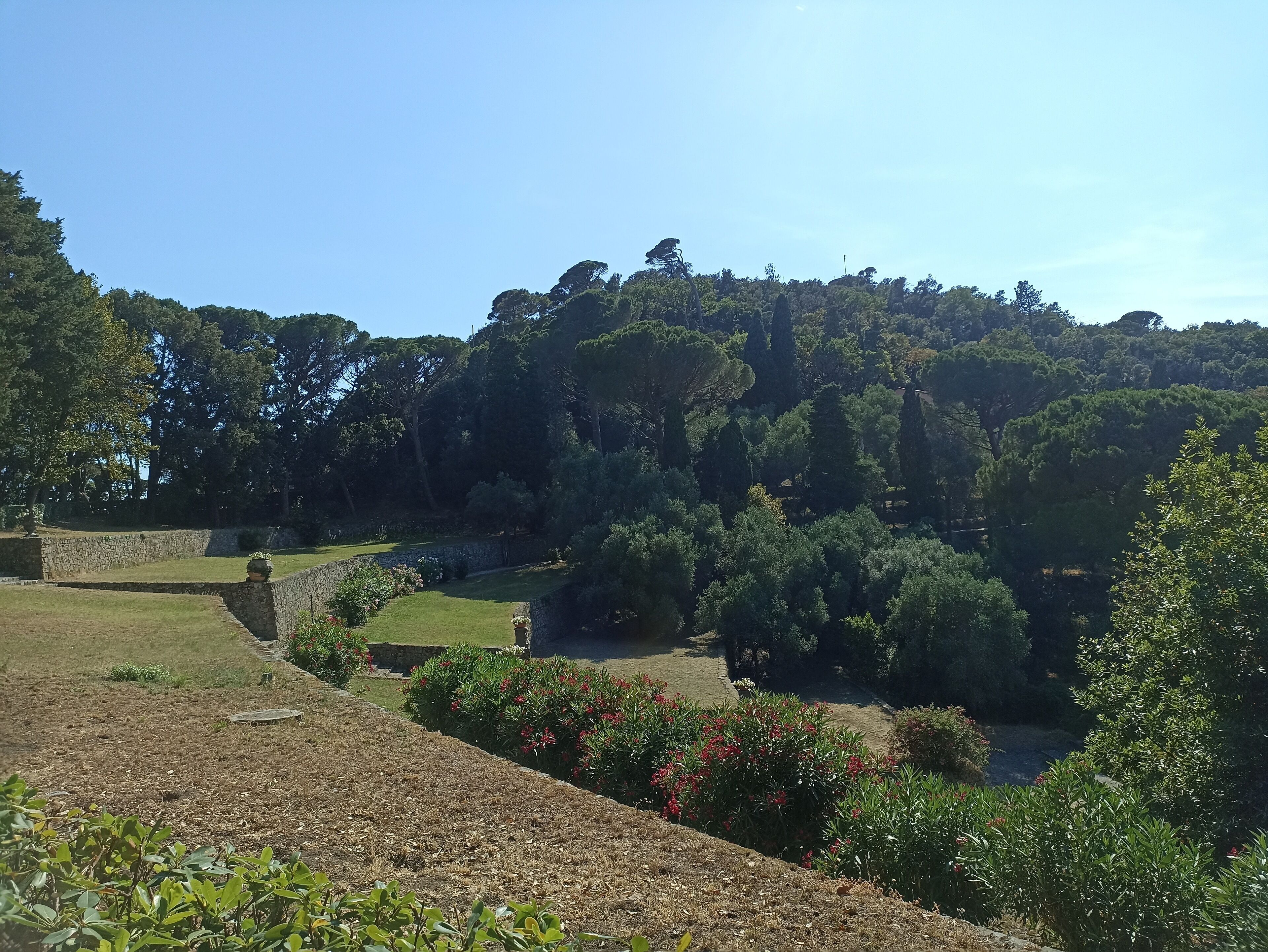 A landscaped garden with stone walls, a variety of trees, and flowering plants.
