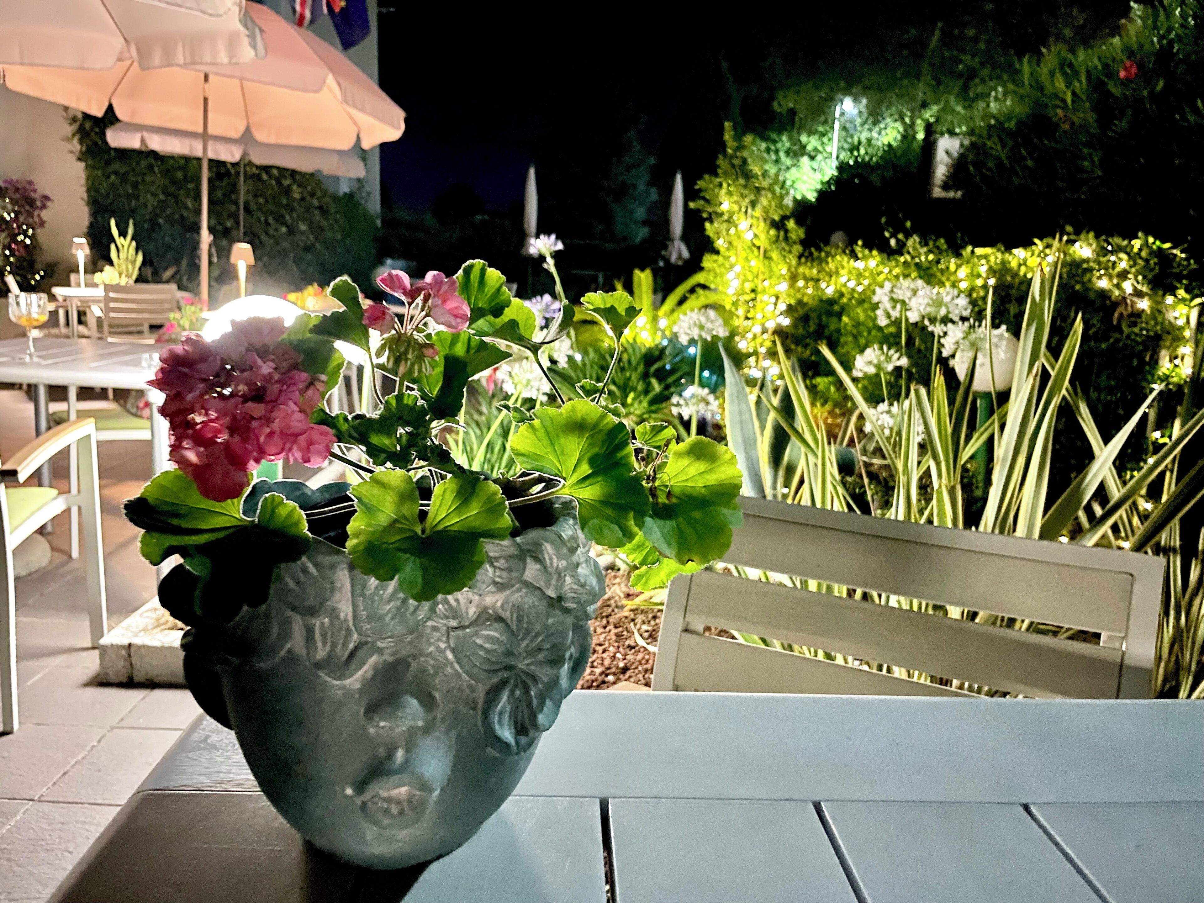 A potted plant with flowers on a table in an outdoor setting.