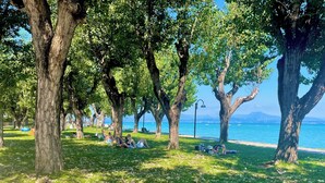 鄰近海灘