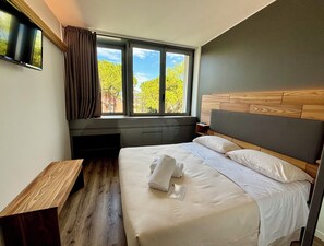 Habitación estándar doble | Ropa de cama hipoalergénica, caja fuerte, decoración individual